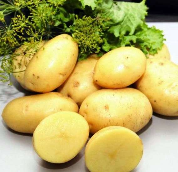 نوع البطاطا إمبالا