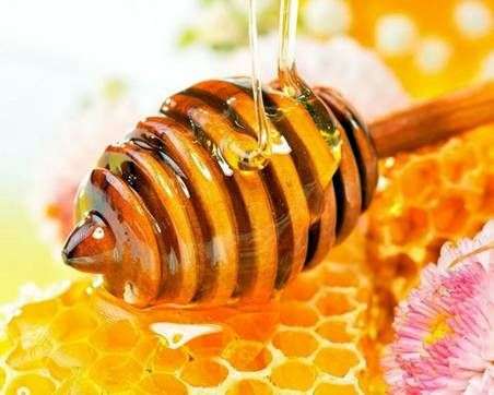 الخصائص العلاجية للعسل